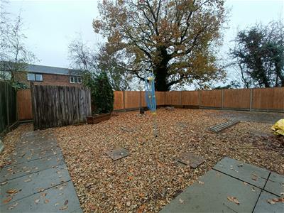 Picture 13